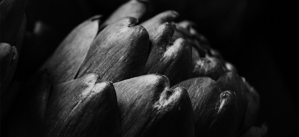 texture_artichoke.jpg